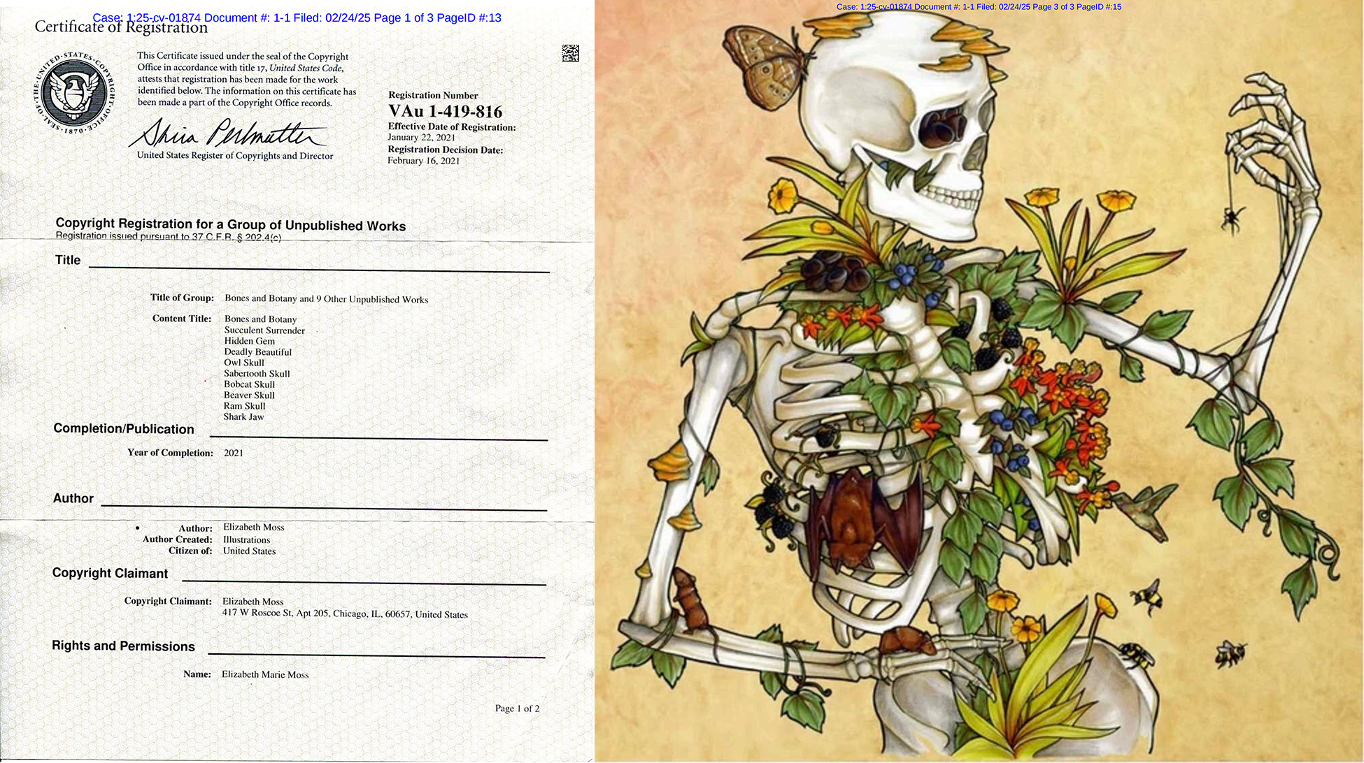 Elizabeth Moss 骷髅版权