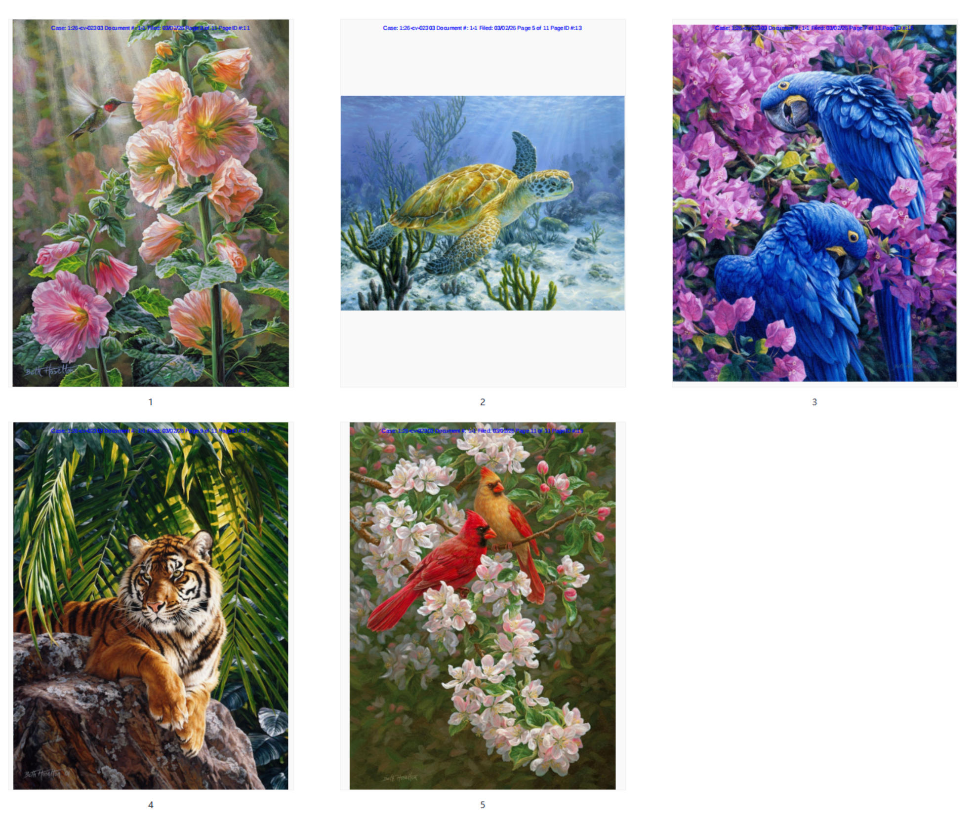 Beth Hoselton-Gray 版权