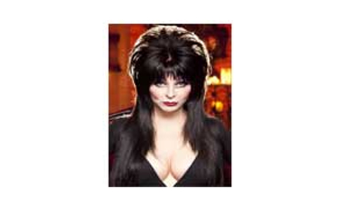 Elvira: Mistress of the Dark  埃尔维拉:黑暗的女主人