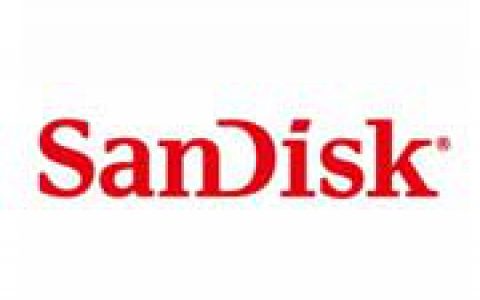 SANDISK 闪迪