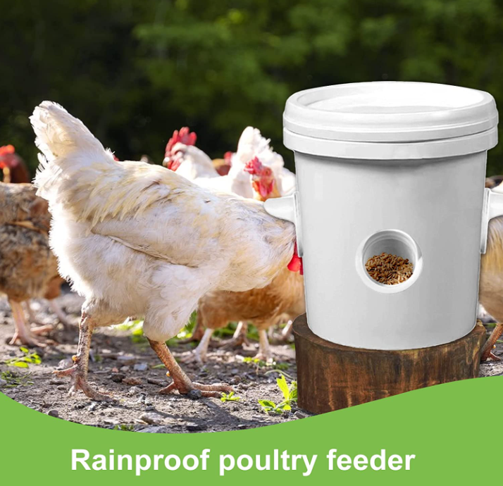 Poultry Feeder 家禽喂养器