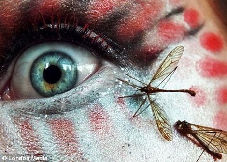 Svenja Schmitt 版权画