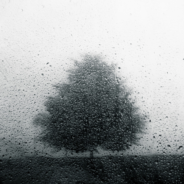 Dorit Maritta Fuhg版权画