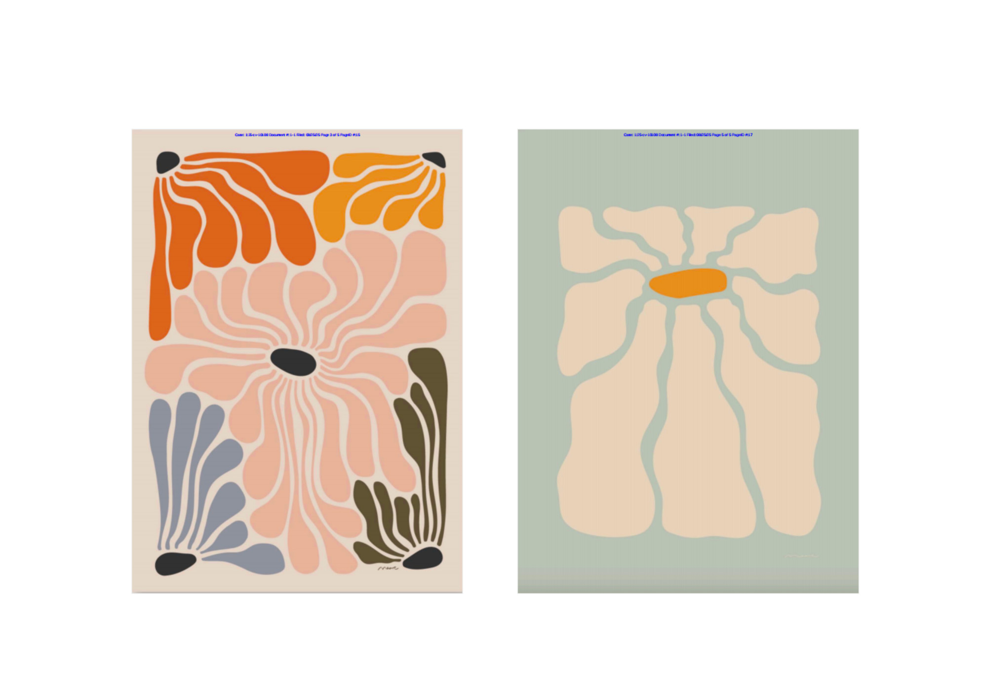 Maore Zurutuza 版权