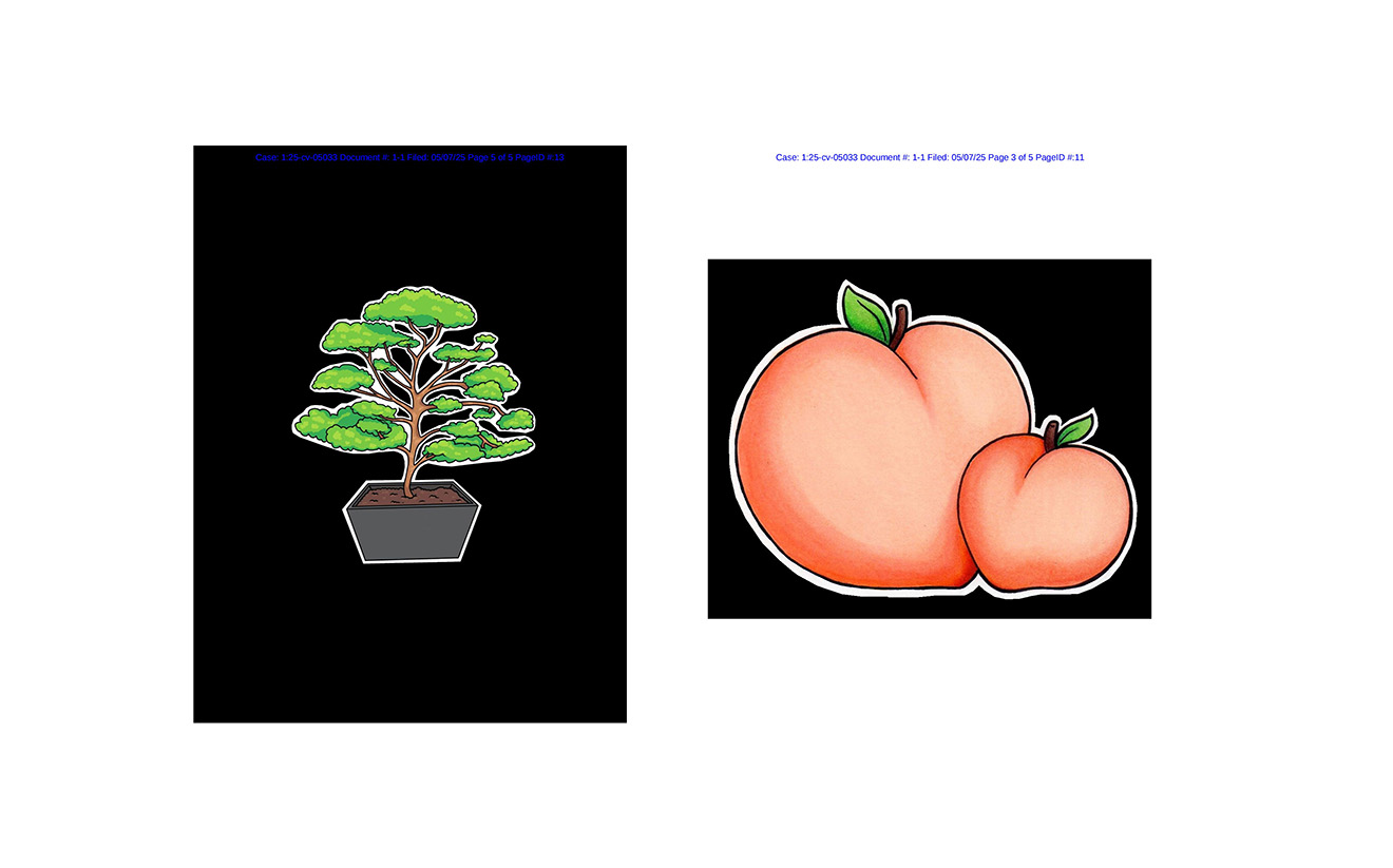 Mayra Alejandra Taboada Pacheco 版权