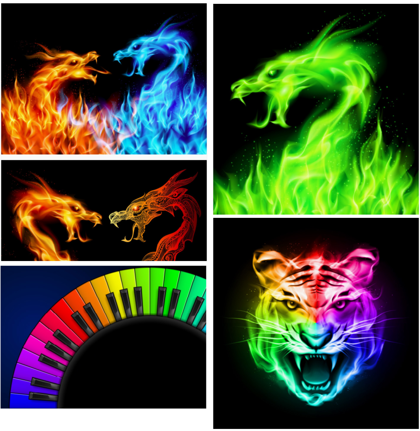 Vasyl Duda 火焰龙版权