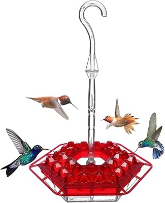 Lil Sweety 喂鸟器